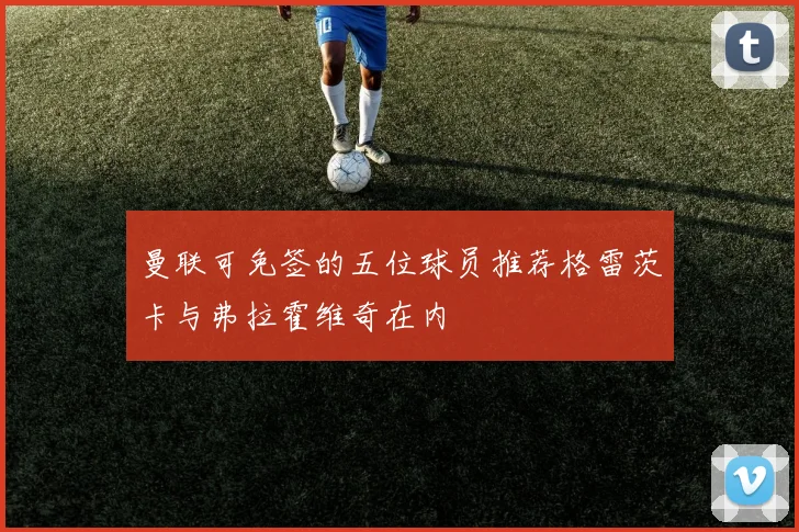 曼联可免签的五位球员推荐格雷茨卡与弗拉霍维奇在内